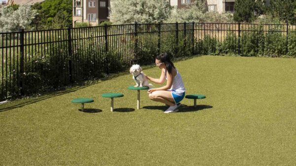 Apartment community off-leash dog park at Griffis Belleview Station in Denver, Colorado.