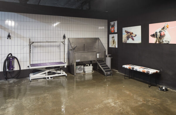 Griffis Lake Washington Pet Washing Station