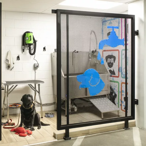 Apartment community pet washing station at Griffis North Union in Denver, Colorado.