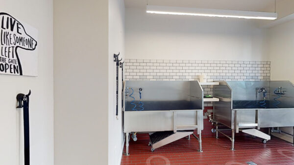 Virtual tour thumbnail for Griffis Pine Avenue pet wash.