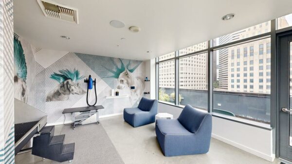 Pet Spa Virtual Tour