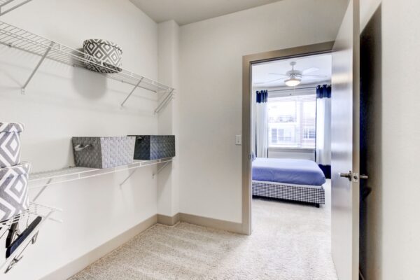 Classic model home spacious closet.