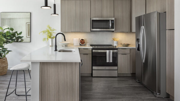 Apartment Kitchen with Stainless Steel Appliances, quartz counters and wood-like floors.