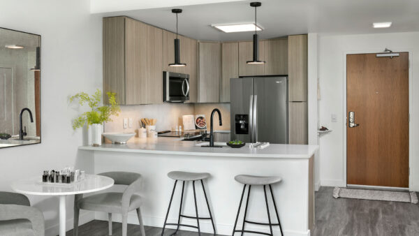 Apartment Kitchen with Stainless Steel Appliances, quartz counters and wood-like floors.