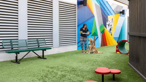 Apartment community off-leash dog park at Griffis Cherry Creek in Denver, Colorado.