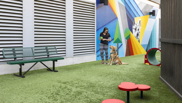 Apartment community off-leash dog park at Griffis Cherry Creek in Denver, Colorado.