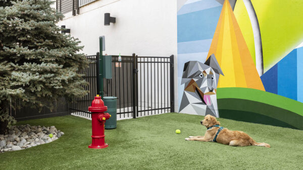 Apartment community off-leash dog park at Griffis Cherry Creek in Denver, Colorado.