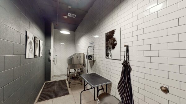 Pet Washing Station