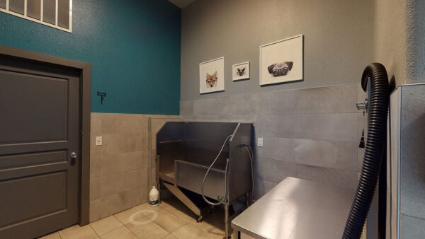 Virtual tour thumbnail for Griffis Fitzsimons South pet wash.