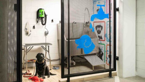 Apartment community pet washing station at Griffis North Union in Denver, Colorado.