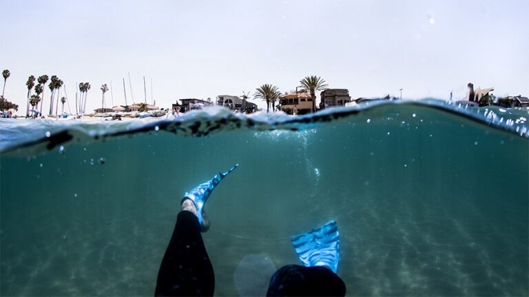 Person snorkeling in Mission Bay in San Diego.