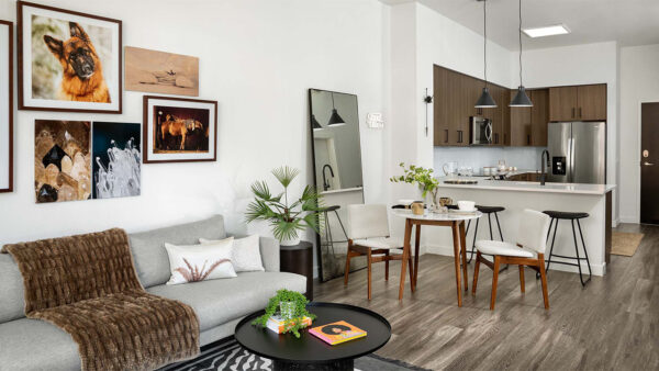 Apartment Kitchen with Stainless Steel Appliances, Dining and Living Room with wood flooring..