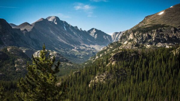 Mountain valley with tall rocky peaks and pine trees.