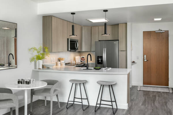 Apartment kitchen with stainless steel appliances, quartz countertops and wood-style flooring.