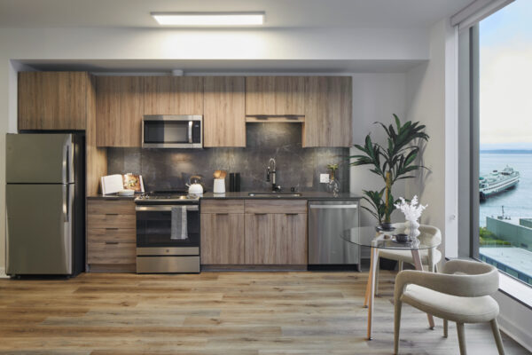 Apartment kitchen with stainless steel appliances, quartz countertops and wood-style flooring.