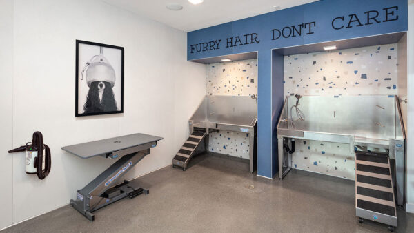 Pet Washing Station