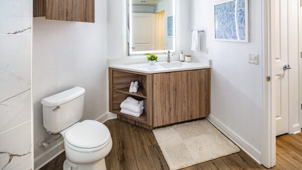 Apartment bathroom with wood-style flooring.
