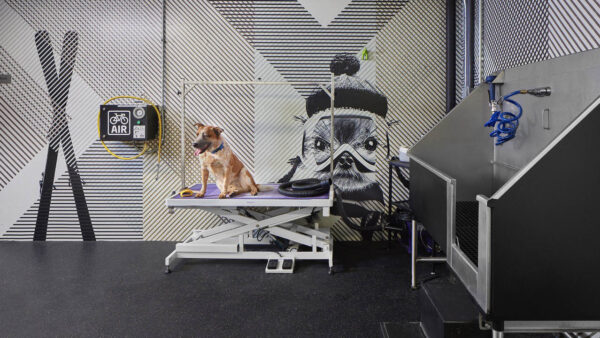 Apartment community Pet Washing Station at Griffis LoDo in Denver, CO.