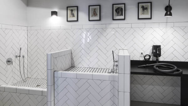 Pet wash with tile washing basins and dryer station.