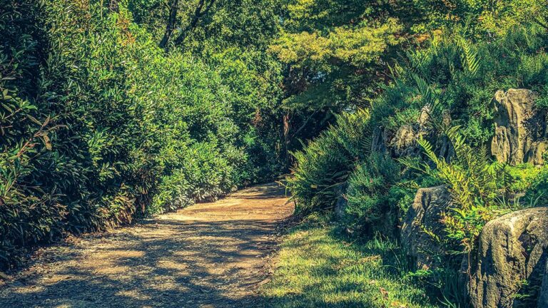 Reverchon Park in Dallas, Texas.