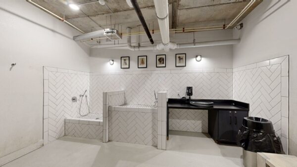 Pet Spa Virtual Tour