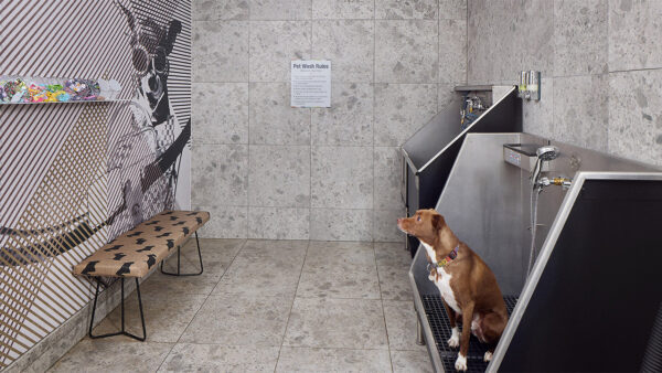 Apartment community pet spa at Griffis at Fiddler's Green in Centennial, Colorado.