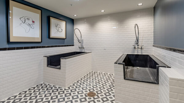 Apartment community pet spa at Griffis Edgemoor in Bethesda, Maryland.