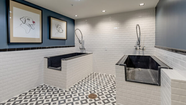 Apartment community pet spa at Griffis Edgemoor in Bethesda, Maryland.