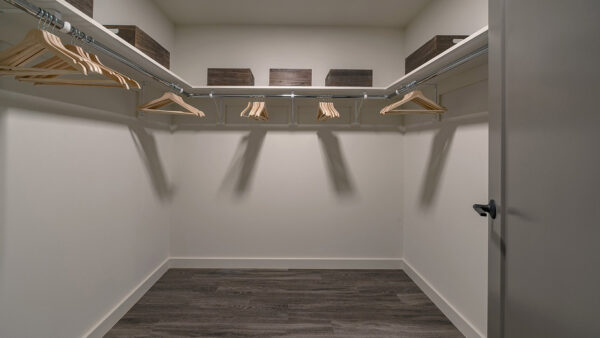 Spacious apartment bedroom closet