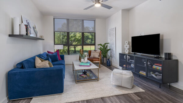 Apartment living room with wood-style flooring.