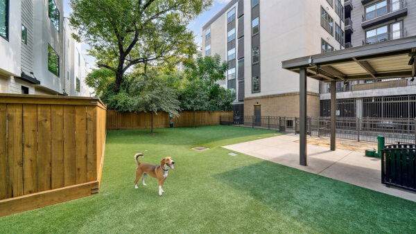 Apartment community off-leash dog park at Griffis Oak Lawn in Bethesda, Maryland.