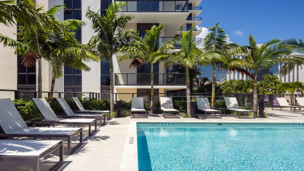 Griffis West Palm apartments rooftop pool area with lounge chairs and palm trees.