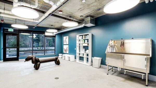 Griffis Shoreline pet spa.