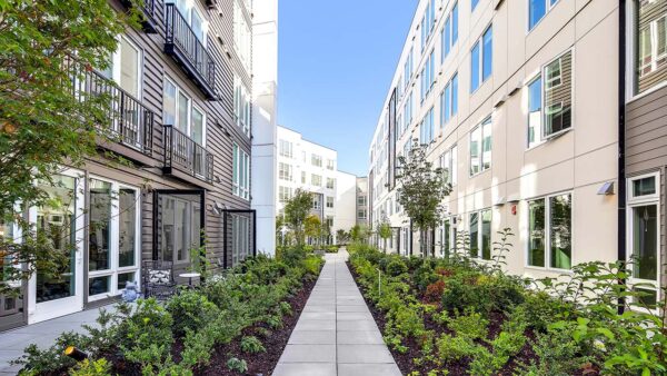 Griffis Shoreline courtyard with lush landscaping.